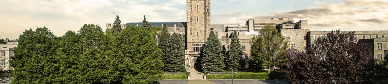 Western University campus